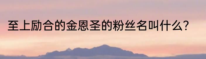 至上励合的金恩圣的粉丝名叫什么？