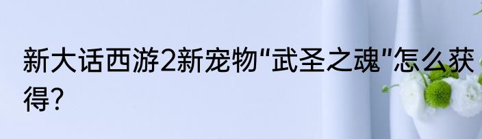 新大话西游2新宠物“武圣之魂”怎么获得？