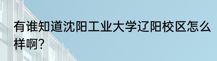 有谁知道沈阳工业大学辽阳校区怎么样啊？