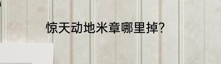 惊天动地米章哪里掉？