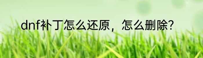 dnf补丁怎么还原，怎么删除？