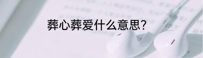 葬心葬爱什么意思？