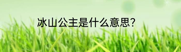 冰山公主是什么意思？