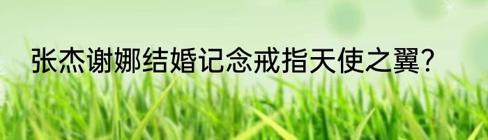 张杰谢娜结婚记念戒指天使之翼？