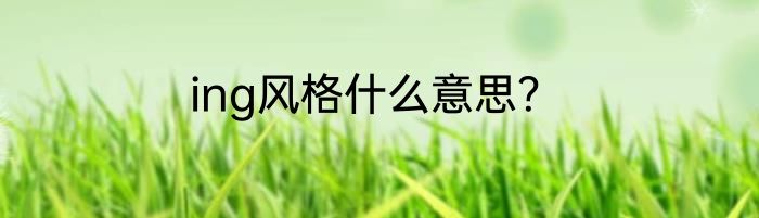 ing风格什么意思？