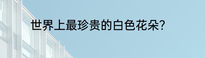 世界上最珍贵的白色花朵？
