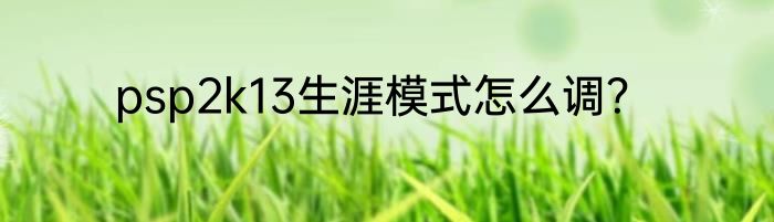 psp2k13生涯模式怎么调？