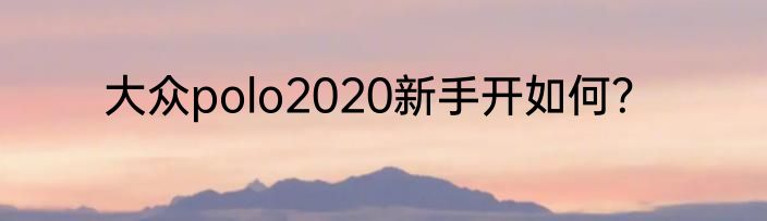 大众polo2020新手开如何？