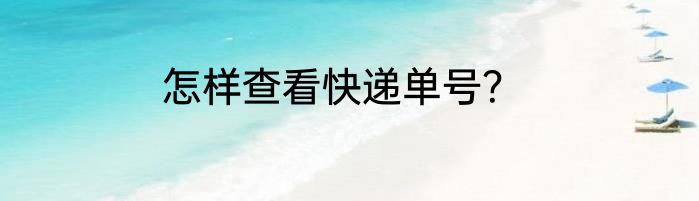怎样查看快递单号？