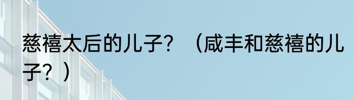 慈禧太后的儿子？（咸丰和慈禧的儿子？）