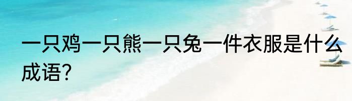 一只鸡一只熊一只兔一件衣服是什么成语？