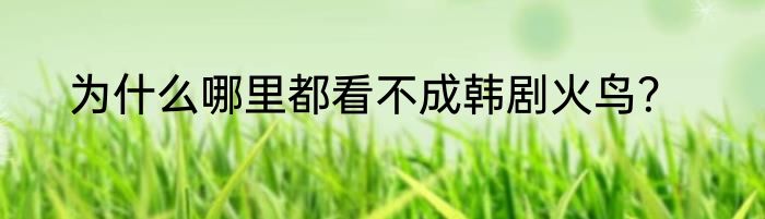 为什么哪里都看不成韩剧火鸟？
