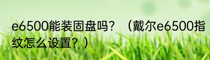 e6500能装固盘吗？（戴尔e6500指纹怎么设置？）