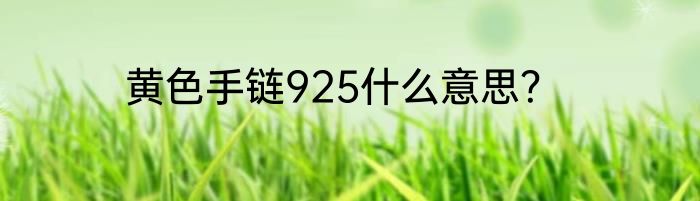 黄色手链925什么意思？