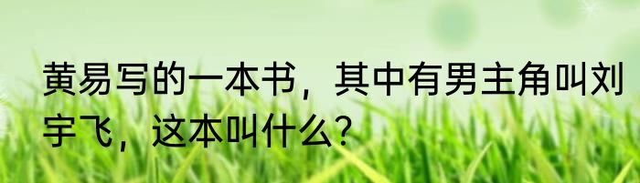 黄易写的一本书，其中有男主角叫刘宇飞，这本叫什么？