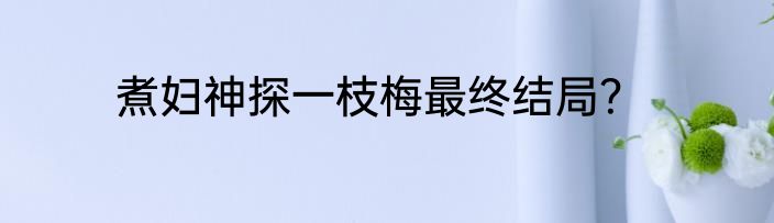煮妇神探一枝梅最终结局？