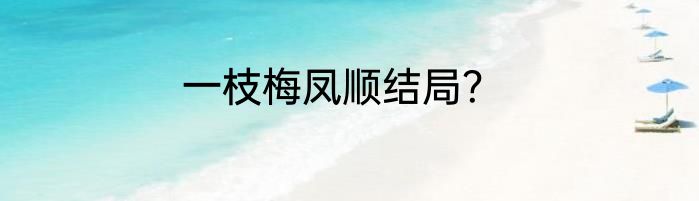 一枝梅凤顺结局？