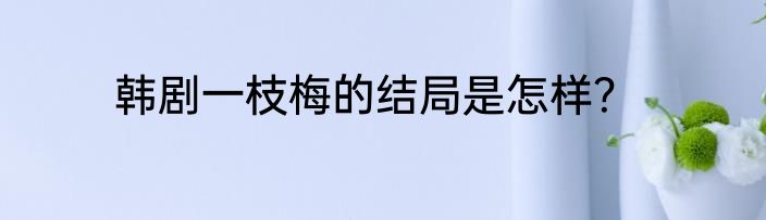 韩剧一枝梅的结局是怎样？