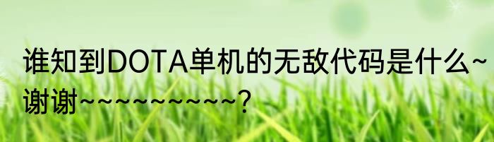 谁知到DOTA单机的无敌代码是什么~谢谢~~~~~~~~~？