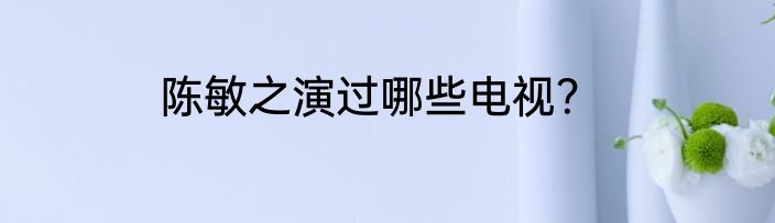 陈敏之演过哪些电视？