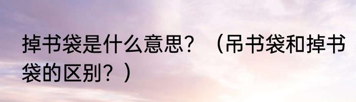掉书袋是什么意思？（吊书袋和掉书袋的区别？）