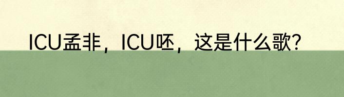 ICU孟非，ICU呸，这是什么歌？