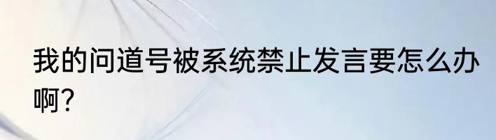 我的问道号被系统禁止发言要怎么办啊？