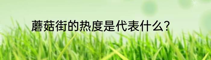 蘑菇街的热度是代表什么？