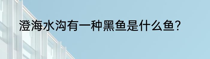 澄海水沟有一种黑鱼是什么鱼？