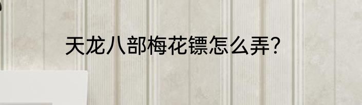 天龙八部梅花镖怎么弄？