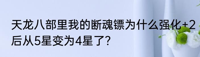 天龙八部里我的断魂镖为什么强化+2后从5星变为4星了？
