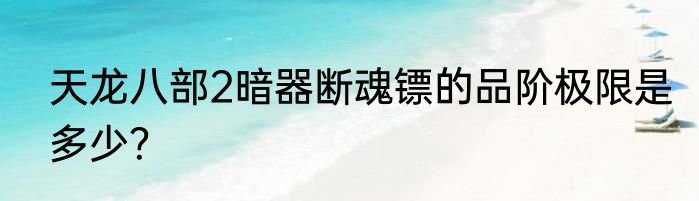 天龙八部2暗器断魂镖的品阶极限是多少？