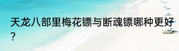 天龙八部里梅花镖与断魂镖哪种更好？