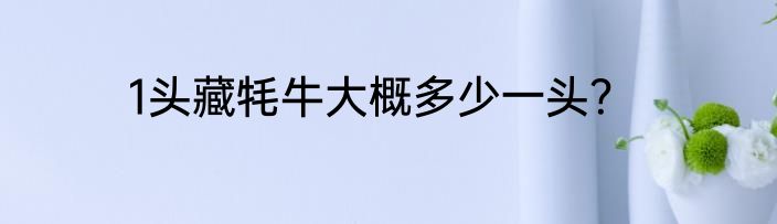 1头藏牦牛大概多少一头？