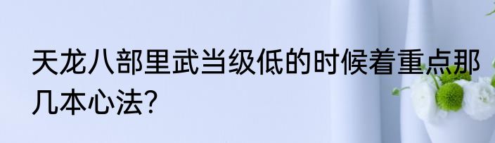 天龙八部里武当级低的时候着重点那几本心法？