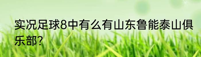 实况足球8中有么有山东鲁能泰山俱乐部?