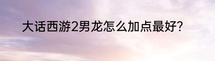 大话西游2男龙怎么加点最好？