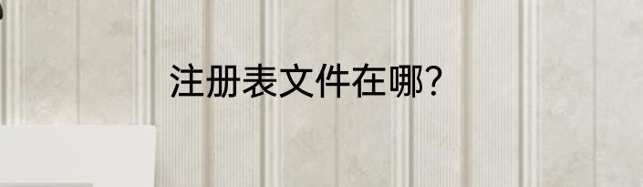 注册表文件在哪？