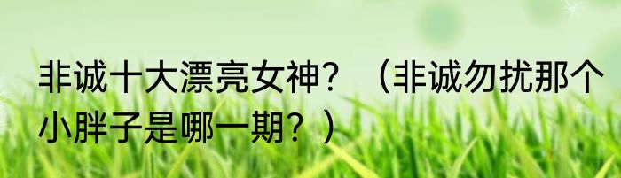 非诚十大漂亮女神？（非诚勿扰那个小胖子是哪一期？）