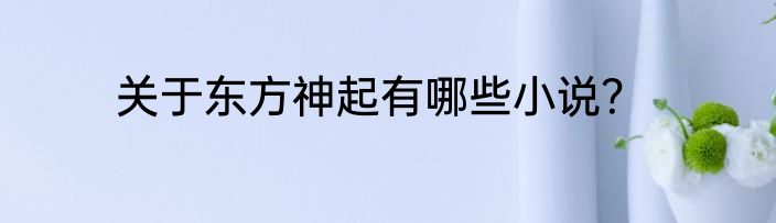 关于东方神起有哪些小说？