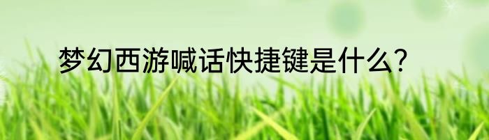 梦幻西游喊话快捷键是什么？