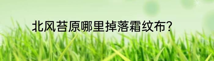 北风苔原哪里掉落霜纹布？