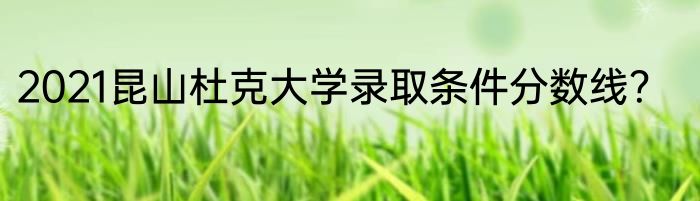 2021昆山杜克大学录取条件分数线？