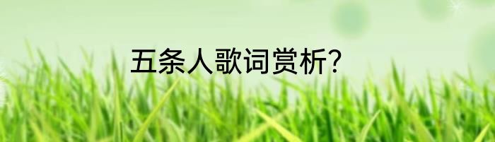 五条人歌词赏析？