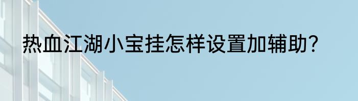 热血江湖小宝挂怎样设置加辅助？