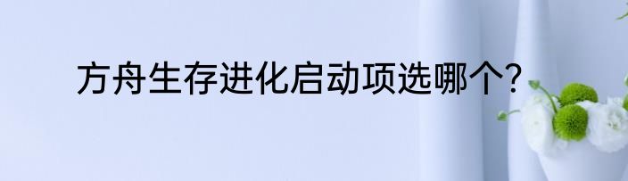 方舟生存进化启动项选哪个？