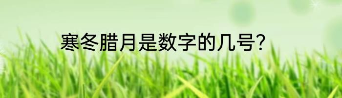 寒冬腊月是数字的几号？