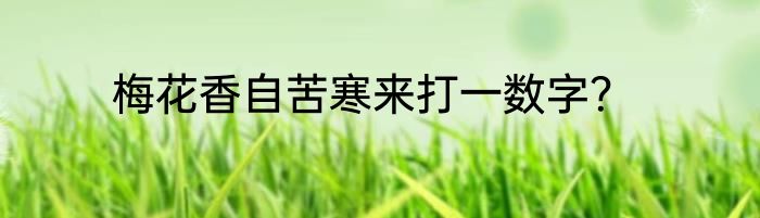 梅花香自苦寒来打一数字？