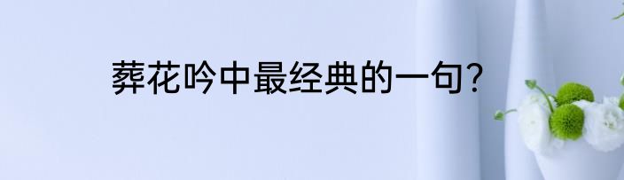 葬花吟中最经典的一句？
