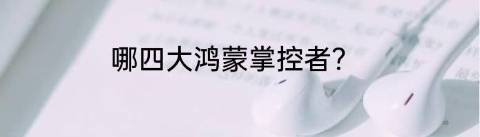 哪四大鸿蒙掌控者？